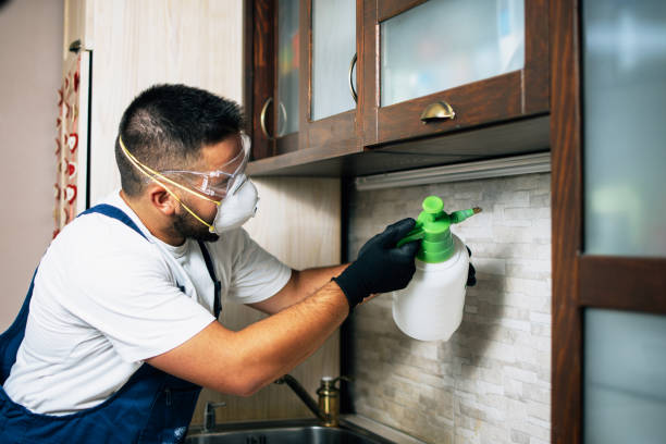 Best Termite Control Services  in Bay Shore, NY